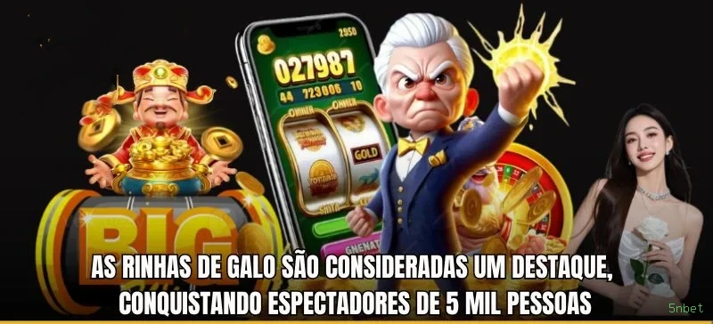 Checklist para avaliar a plataforma 5nbet